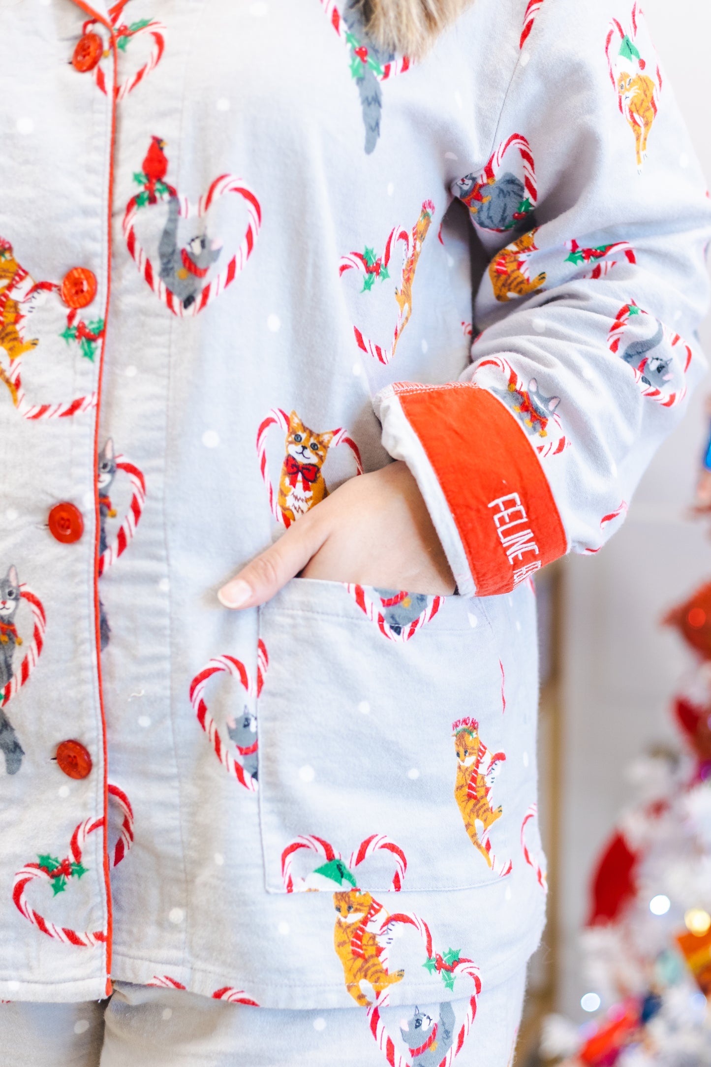 Christmas Cat Pajama Set