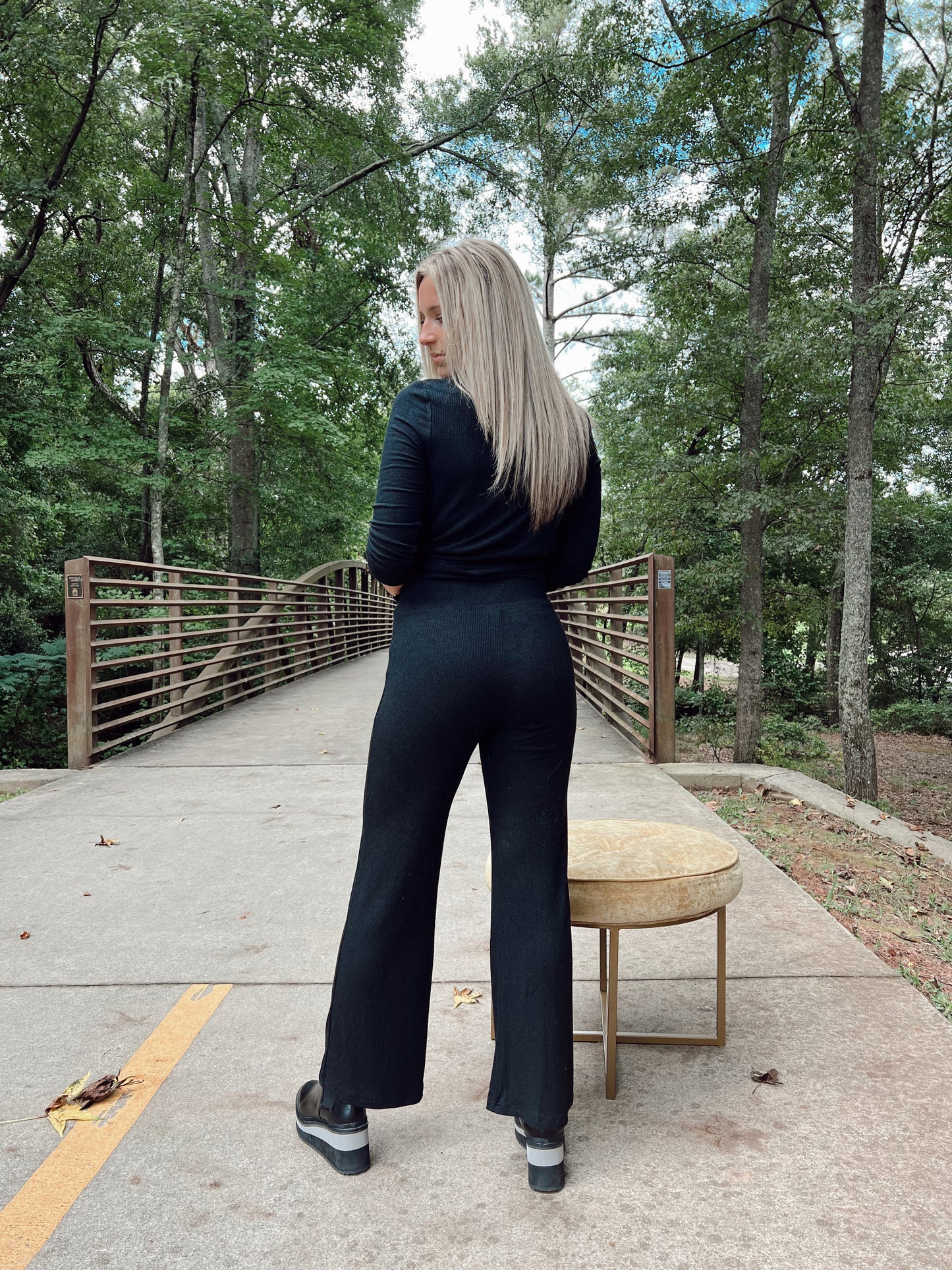 Penny Knit Metallic Pull On Pant