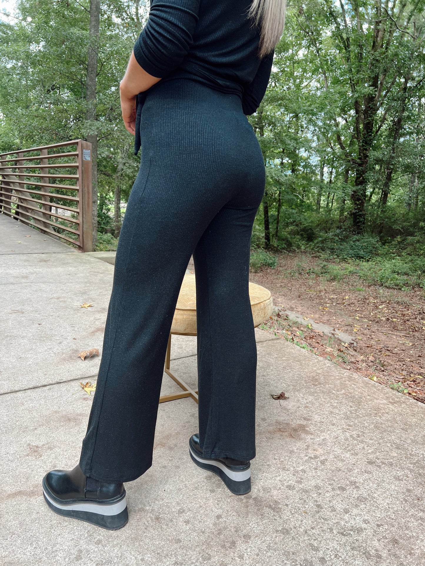 Penny Knit Metallic Pull On Pant